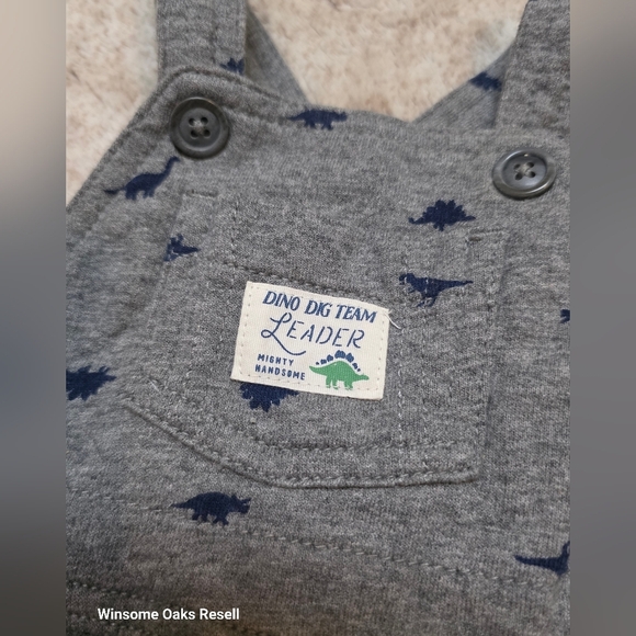 Gray Dinosaur Print Baby Overalls - Picture 2 of 3
